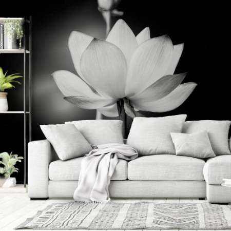 Bild von White Lotus Flower