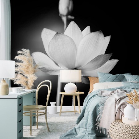Bild på White Lotus Flower
