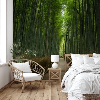 Afbeeldingen van Bamboo Forest Japan