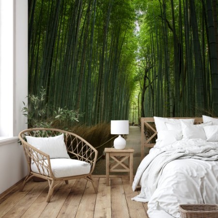 Picture of Bamboo Forest Japan