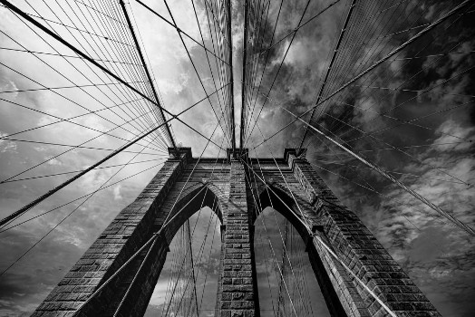 Picture of Brooklin