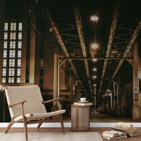 Picture of Chicago Railway Bridge