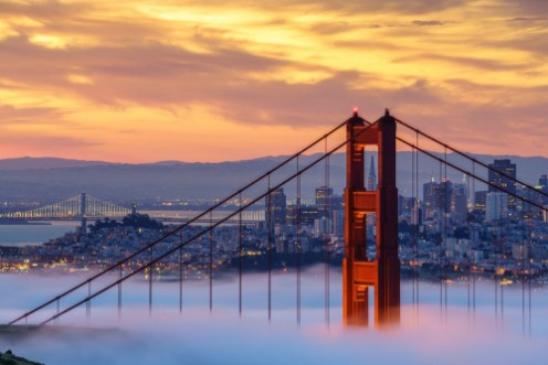 Misty Mornings at the Golden Gate photowallpaper Scandiwall