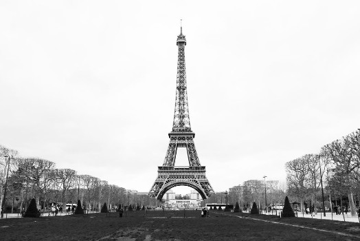 Picture of The Eiffel Tower Black and White
