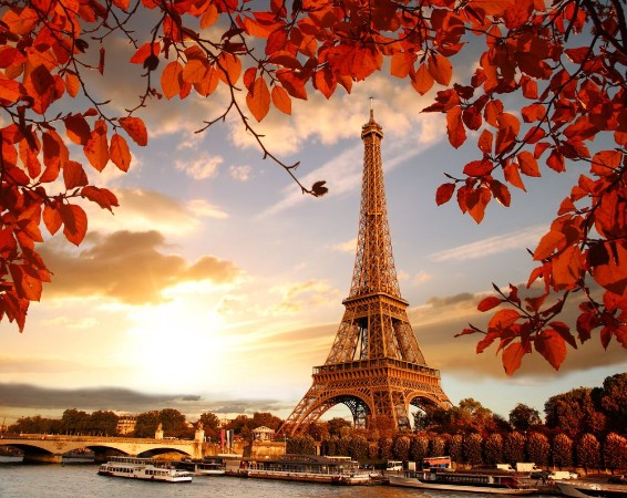 Afbeeldingen van The Eiffel Tower in Autumn