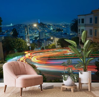 Bild på Lombard Stret in San Francisco
