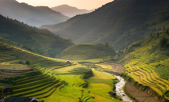 Image de Terraced Rice Fields