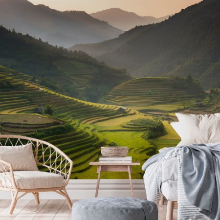 Picture of Terraced Rice Fields