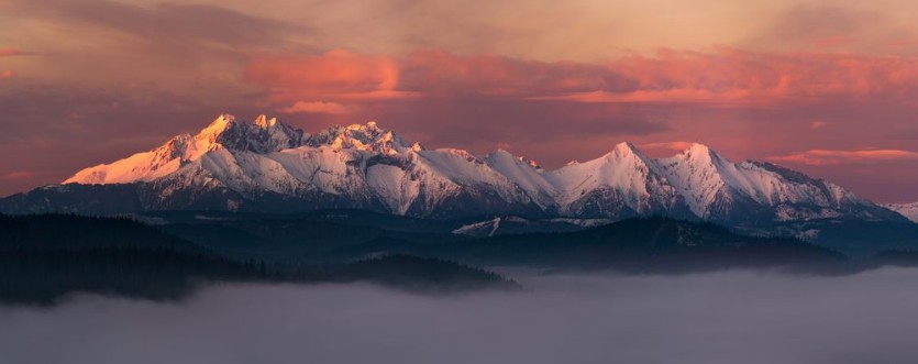 Picture of Above the Fog