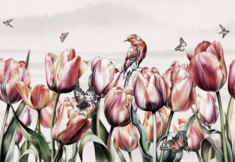 Afbeeldingen van Tulip Dreams