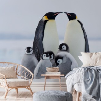 Afbeeldingen van Emperor Penguins with Chicks