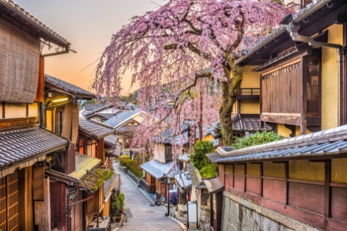 Picture of Japan in Spring