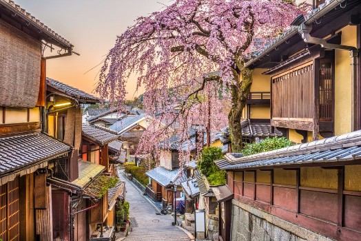 Picture of Japan in Spring