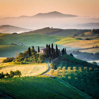 Bild på Morning in Tuscany