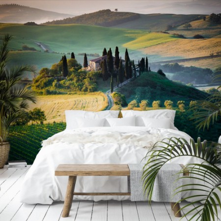 Picture of Morning in Tuscany