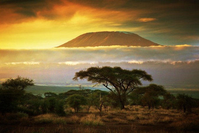 Bild på Mount Kilimanjaro