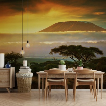 Picture of Mount Kilimanjaro