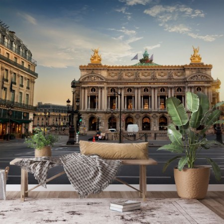 Picture of National Opera of Paris