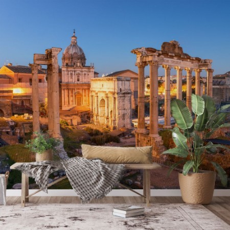 Picture of Ancient Roman Forum