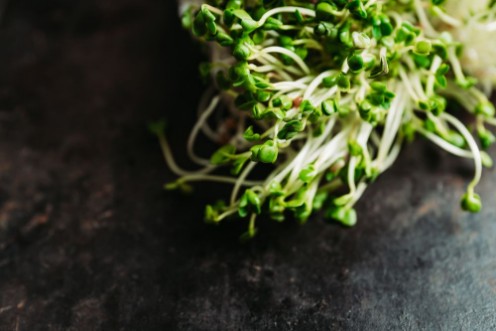 Picture of Microgreen