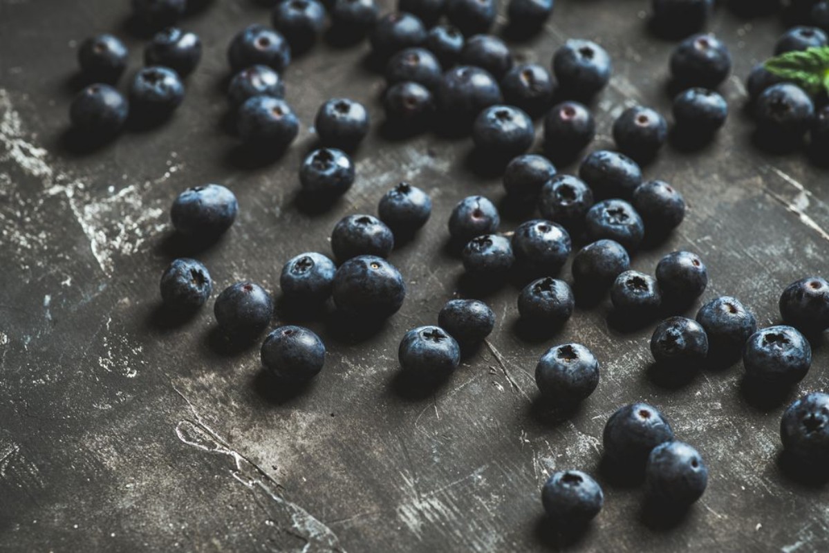 Bild von Freshly harvested Blueberries