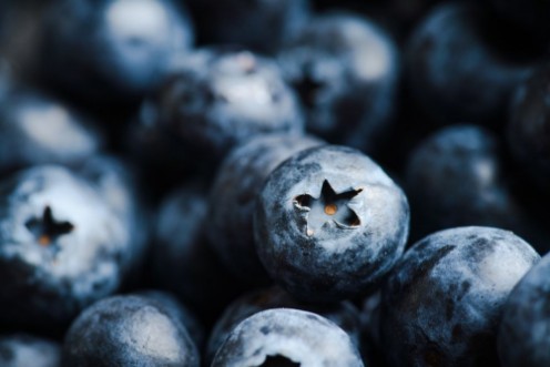 Afbeeldingen van Blueberries Close Up