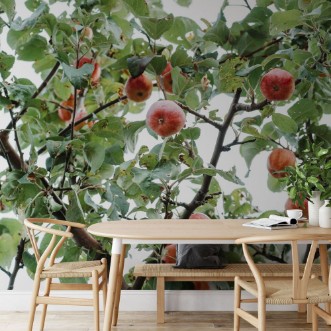 Image de The Apple Tree