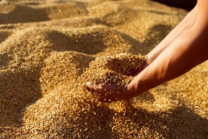 Afbeeldingen van Wheat Grains