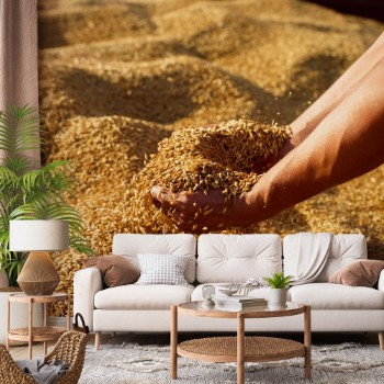 Bild på Wheat Grains