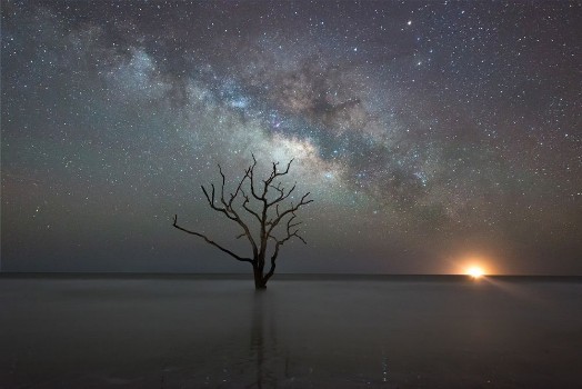 Picture of Botany Bay Beach under the Milky Way