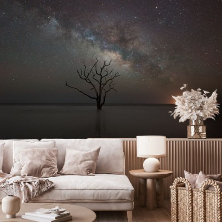 Imagem de Botany Bay Beach under the Milky Way