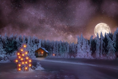 Bild på Christmas Tree in the Black Forest