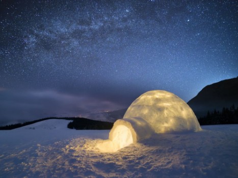 Picture of Cozy Igloo