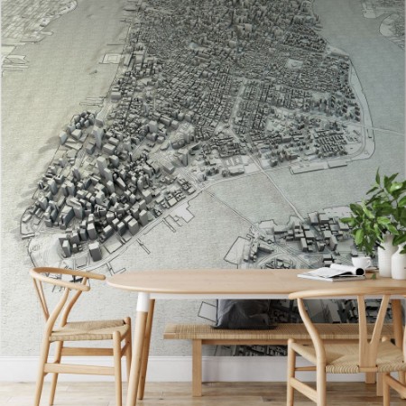 Picture of New York Map