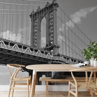 Afbeeldingen van The Manhattan Bridge, New York City