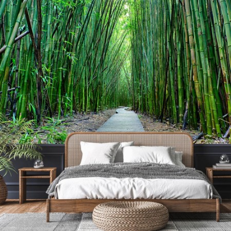 Bild på Bamboo Forrest
