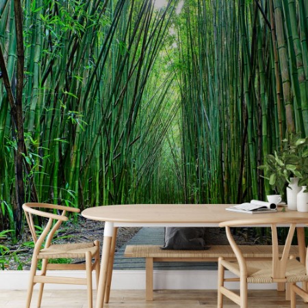 Afbeeldingen van Bamboo Forrest