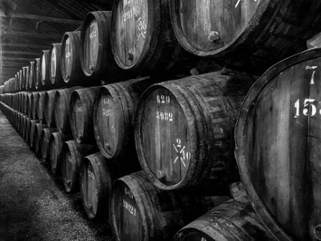 Bild på Barrels of Port In Winery