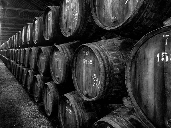 Picture of Barrels of Port In Winery