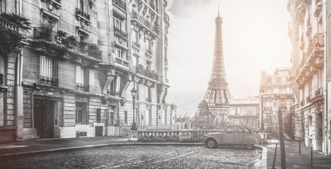 Picture of Vintage Paris