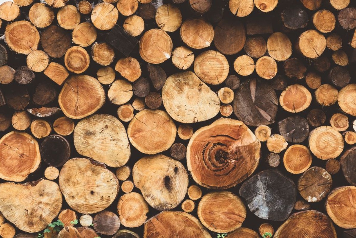 Picture of Firewood Texture