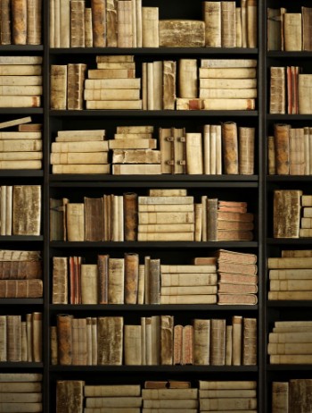 Bild på Wooden Bookshelf