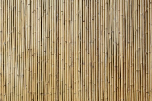 Bild på Bamboo