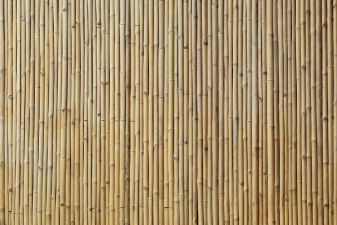 Bild på Bamboo