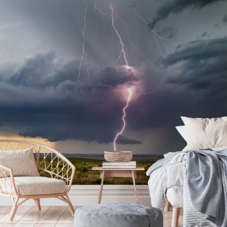 Bild på Summer Thunderstorm