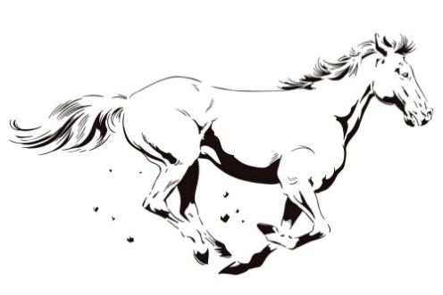 Afbeeldingen van Galloping horse