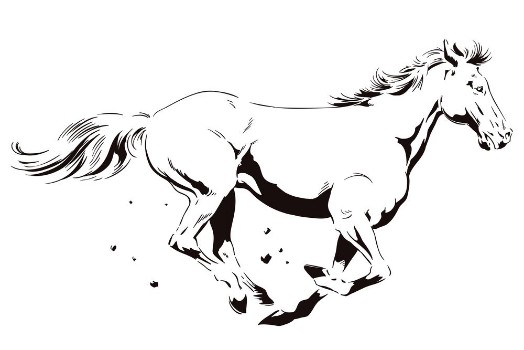 Bild på Galloping horse