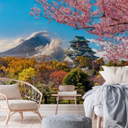 Afbeeldingen van Osaka Castle