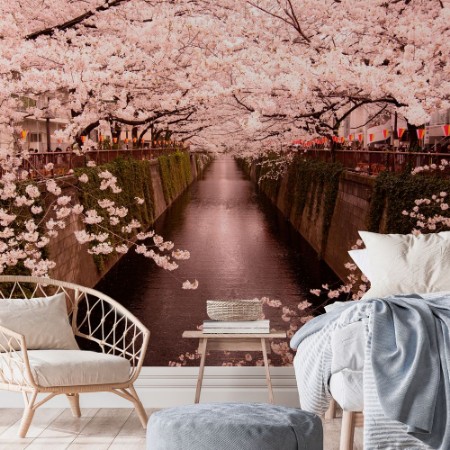 Afbeeldingen van Meguro River Cherry Blossoms