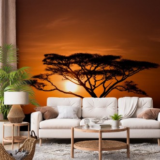 Afbeeldingen van Acacia Tree Against Sunrise Tanzania